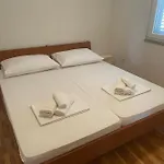 Paludo