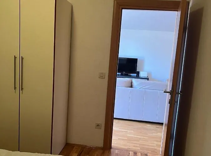 Paludo