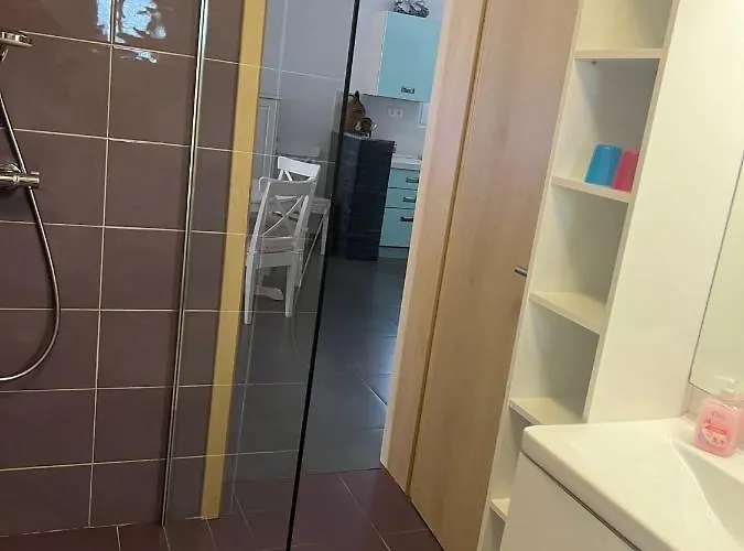 Paludo * 노비그래드달마샤